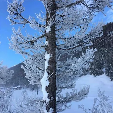 Fiesch/lax Schon Eingericht Fw Fur 2pers. Alpstr.22 公寓 拉克斯