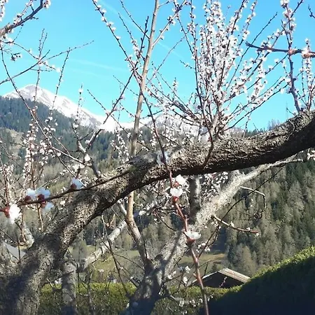 Fiesch/lax Schon Eingericht Fw Fur 2pers. Alpstr.22 * لاكس